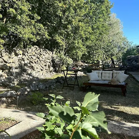 Cozy With Private Yard アパート