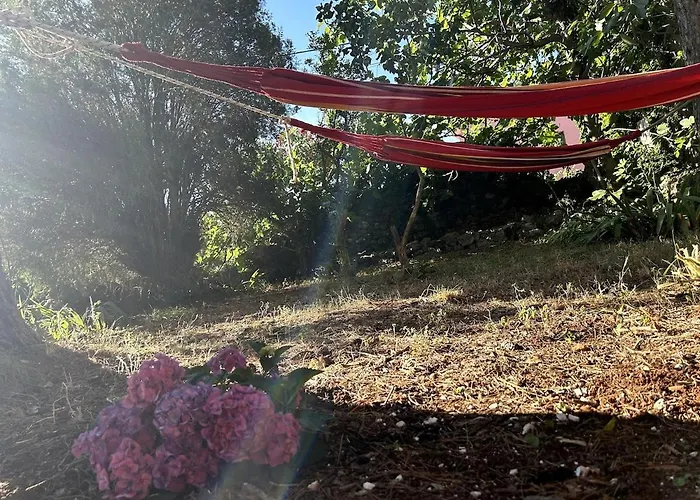 Cozy With Private Yard Lakmartin