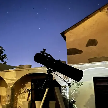 Cozy With Private Yard *