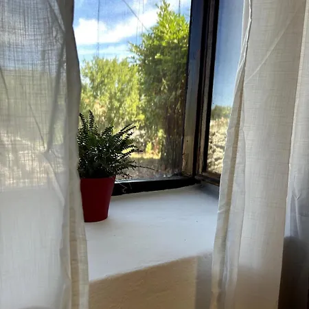 Cozy With Private Yard