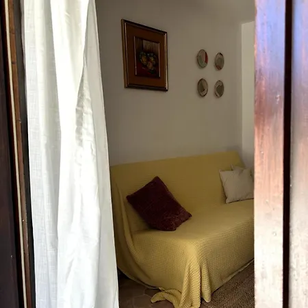 Cozy With Private Yard *