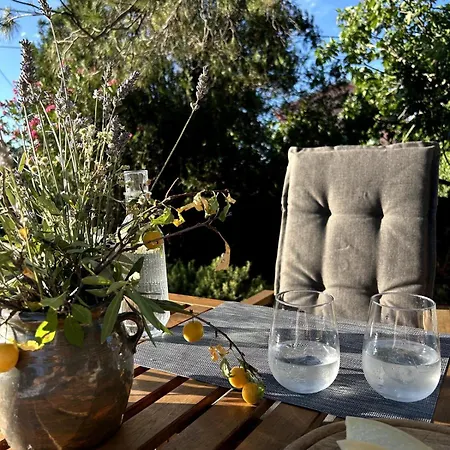 Lejlighed Cozy With Private Yard