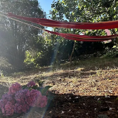 Cozy With Private Yard Lakmartin