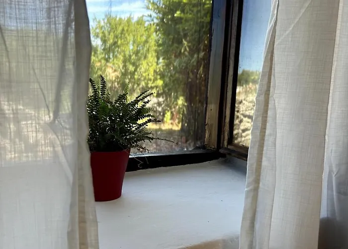 Cozy With Private Yard